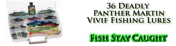 Advertise your Fernandina Beach business on SaltChef