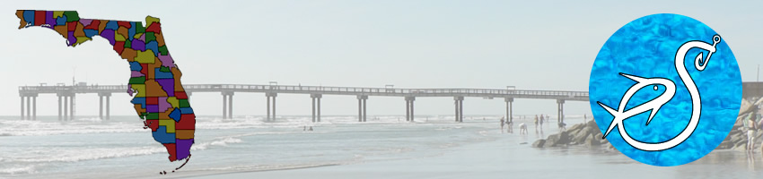 jacksonville beach fishing pier in Duval County Florida