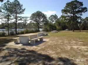 picnic along callaway bayou at john gore park and boat ramp