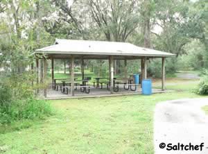 reservable pavilions are technically in walter jones historic park