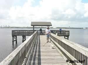 fishing pier at blue cypress park