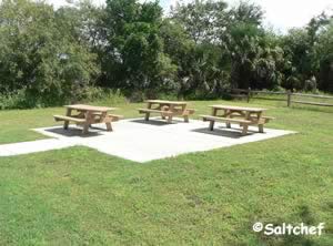 picnic at rheddie point preserve