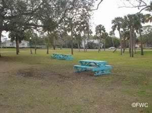 picnic near the apalachicola bay at battery park