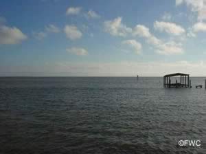 scenic apalachicola bay from battery park