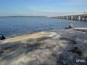 ochlockonee bay bridge boat ramp near carrabelle florida