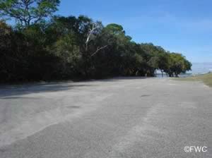 parking at the ochlockonee bay bridge boat ramp