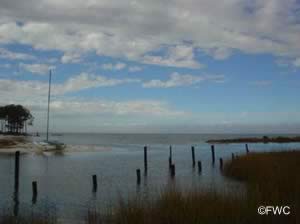 view of apalachicola bay from boat ramp near bridge on st george island