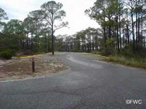 parking at ramp 1 in st george island state park