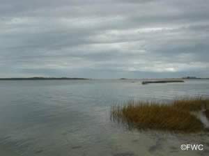 view of apalachicola bay from st george island state park boat launching ramp