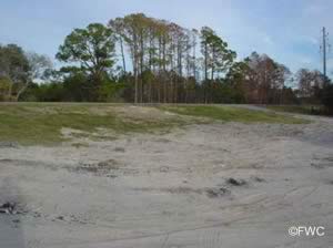 boat ramp on alligator harbor near st teresa florida