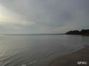 view of alligator harbor from boat ramp in st teresa florida