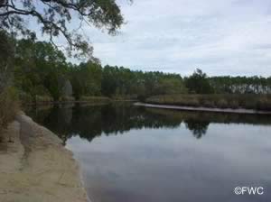 whiskey creek boat ramp eastpoint florida