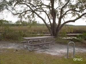 picnics at whiskey george creek ramp eastpoint florida