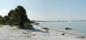 bunche beach preserve lee county florida