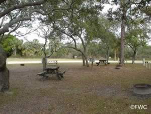shell mound park picnic area