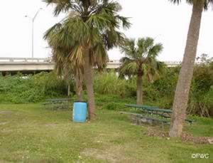 waterfront picnicking at leigton park palm city fl