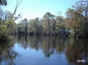 view of lofton creek from melton nelson boat ramp