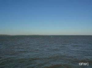 beautiful view of the head waters of the st mary's river nassau county fl