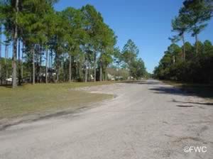 wilson neck boat ramp yulee fl on nassau river