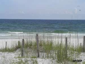 henderson beach state park florida