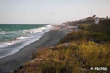 coral cove park picnics