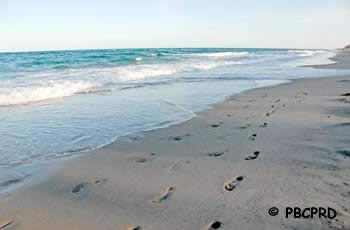 gulf stream park palm beach county