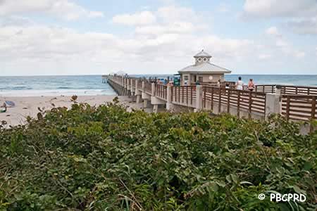 juno saltwater fishing pier