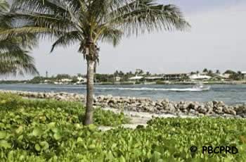 jupiter beach park fishing