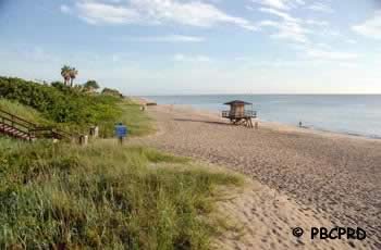 loggerhead park ocean fishing