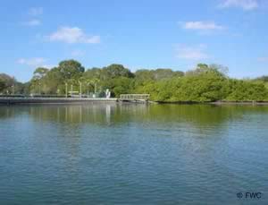 Boat launch at coffee pot park florida