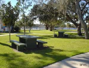 picnics at craig park pinellas county florida