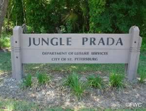 jungle prada ramp parking