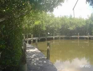 boat docks at manasota beach park ramp area