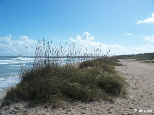 fort pierce