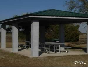 picnic pavilion at dark island taylor county fl