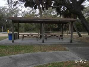 picnic pavilion at ecofina state park