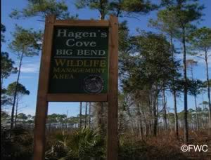 sign at hagen's cove big bend