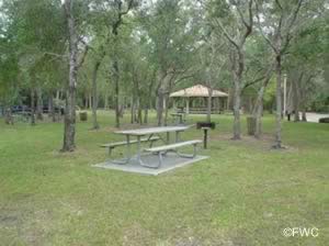 picnicking at sanchez park and boat ramp in ormond beach florida