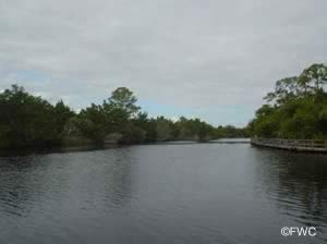 water view from sanchez park ormond beach florida