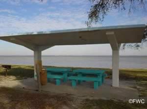 picnic along the shores of southern choctawhatchee bay near miramar beach