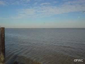 view of choctawhatchee bay from legion park in miramar beach florida
