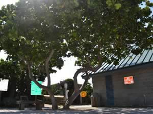 restrooms at coconut beach park