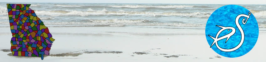 beaches in glynn county, jekyll island, st simons, georgia