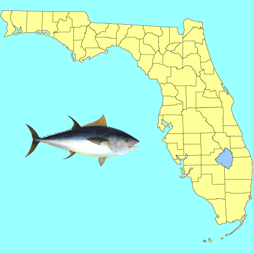 Florida fishing spots map