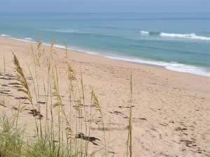 north view of beach at bonsteel park