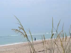 south view of beach at bonsteel park