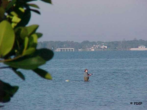 shoreline fishing at sebastian inlet