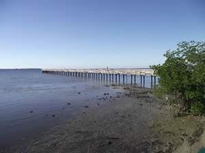 overall view of fishing pier at bayshore live oak