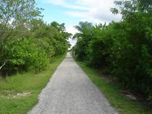 fairly long walk from parking lot to the pier