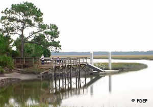 dock at big talblot state park near jacksonville